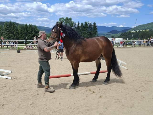 c8552b4d-760c-4e1f-9633-fa400060185f